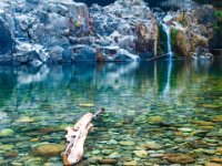 Salmon Falls